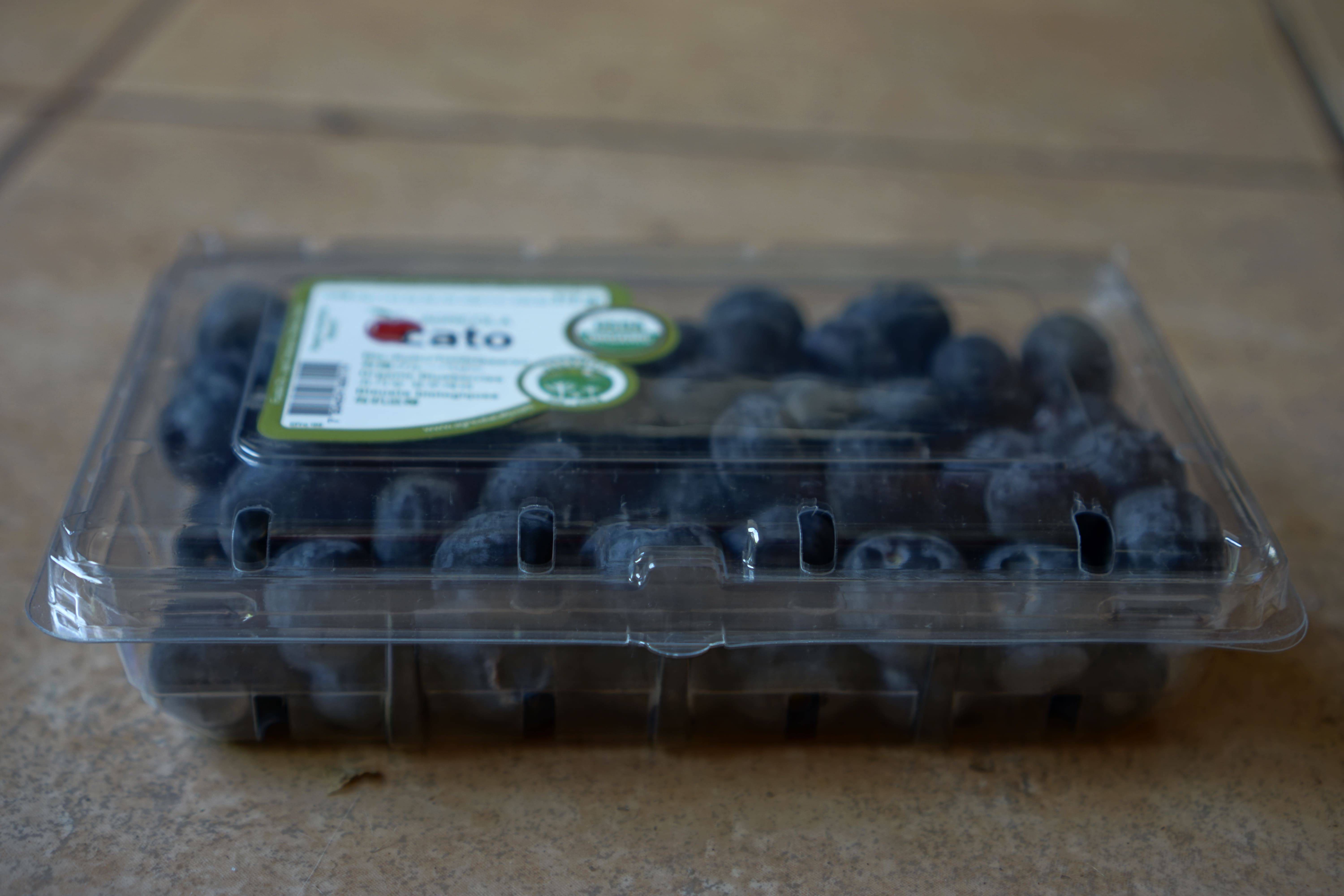Blueberries view 2