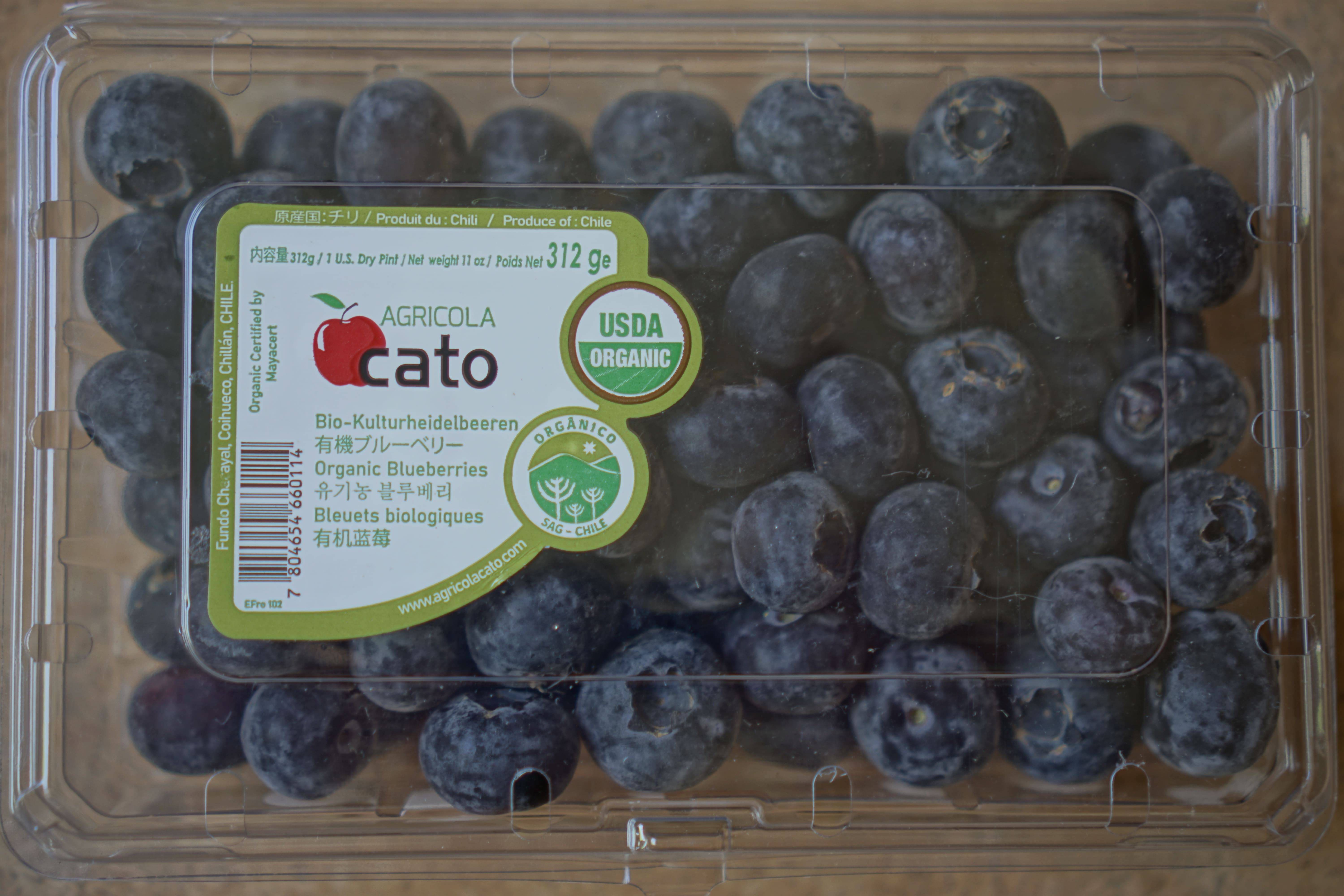 Blueberries view 3